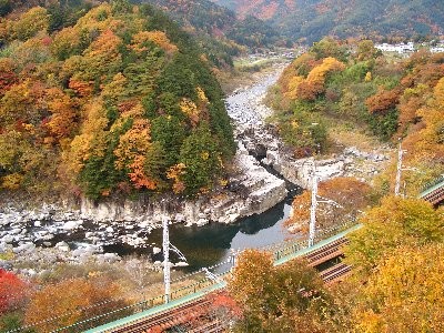 f:id:sakura341516:20081114061926j:image:left f:id:sakura341516:20081114061926j:image:left