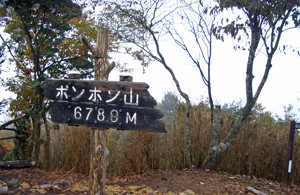 f:id:sakura341516:20081116141626j:image f:id:sakura341516:20081116141626j:image