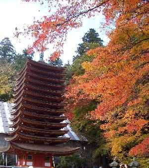 f:id:sakura341516:20081126020020j:image f:id:sakura341516:20081126020020j:image