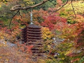 f:id:sakura341516:20081126020045j:image