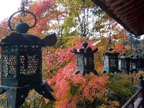 f:id:sakura341516:20081126020117j:image