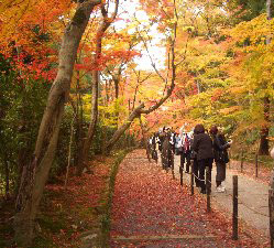 f:id:sakura341516:20081129020702j:image f:id:sakura341516:20081129020702j:image
