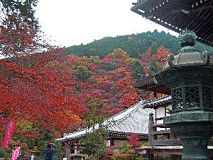 f:id:sakura341516:20081129024509j:image