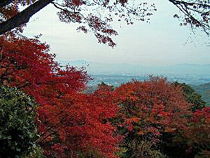 f:id:sakura341516:20081129025250j:image f:id:sakura341516:20081129025250j:image