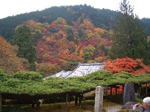 f:id:sakura341516:20081129025529j:image