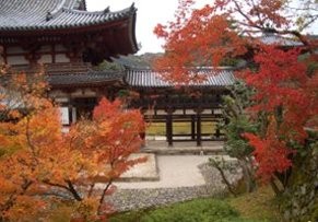 f:id:sakura341516:20081129032520j:image