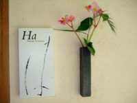 f:id:sakura464:20090711163333j:image f:id:sakura464:20090711163333j:image