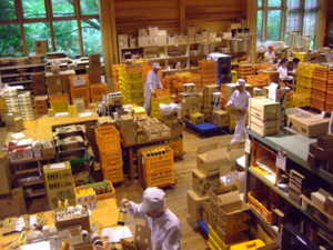 f:id:sakura464:20090727100058j:image f:id:sakura464:20090727100058j:image
