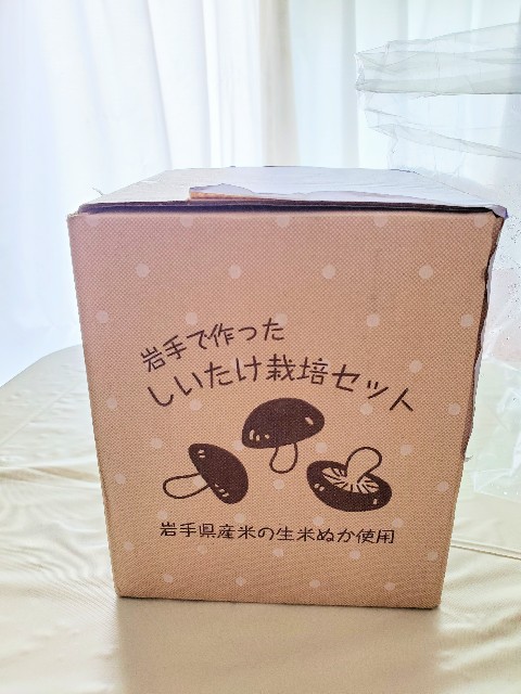 f:id:sakura4try:20200605155153j:plain