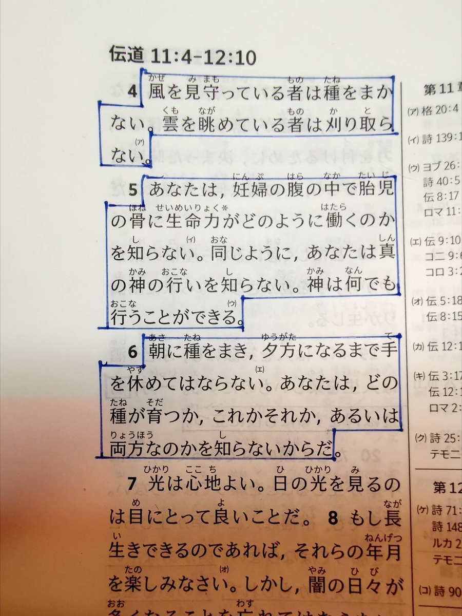 f:id:sakura528:20200924015954j:plain