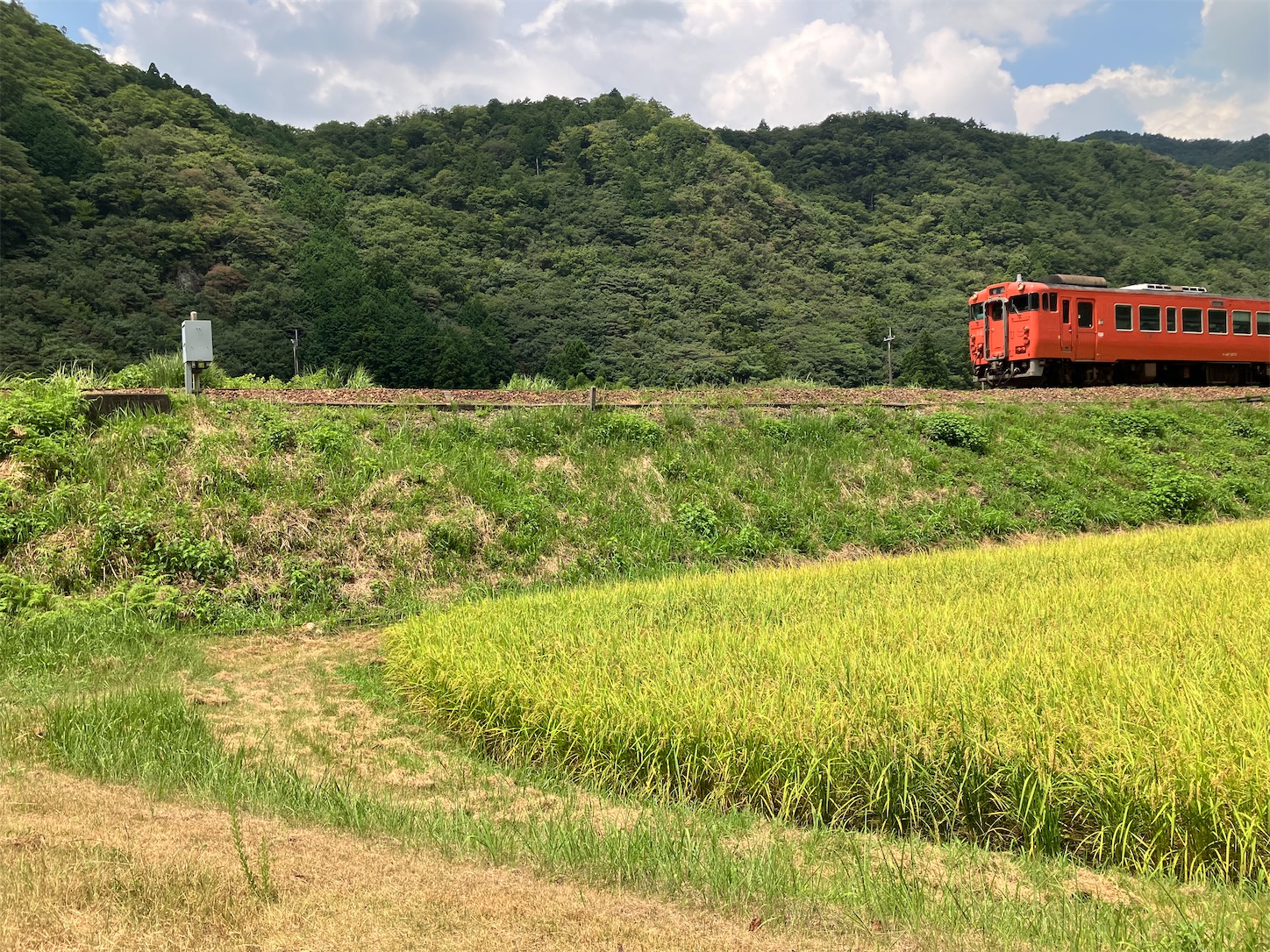 f:id:sakura542gou:20240814204028j:image