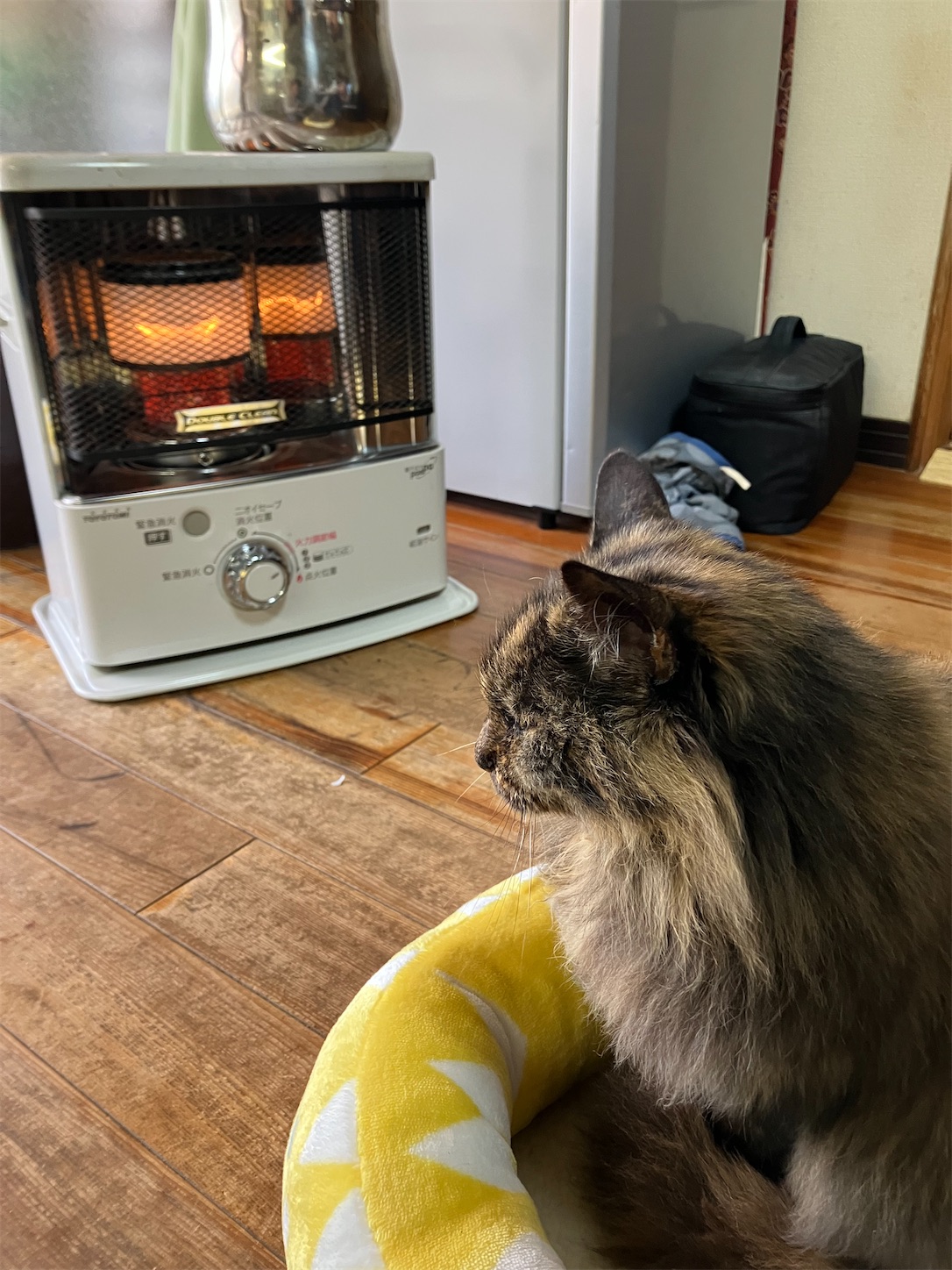 f:id:sakura542gou:20250112132353j:image