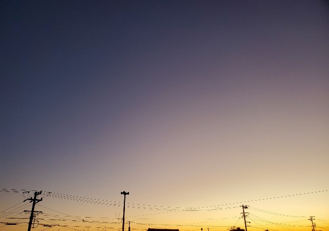 f:id:sakura__iro:20220224184155j:image