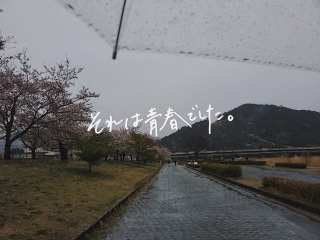 f:id:sakura__iro:20220403220648j:image f:id:sakura__iro:20220403220648j:image