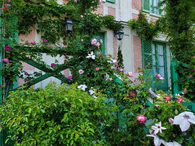 f:id:sakura__iro:20220508153725j:image f:id:sakura__iro:20220508153725j:image