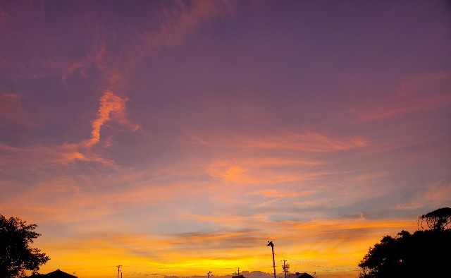 f:id:sakura__iro:20220803213422j:image