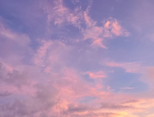 f:id:sakura__iro:20220803213631j:image