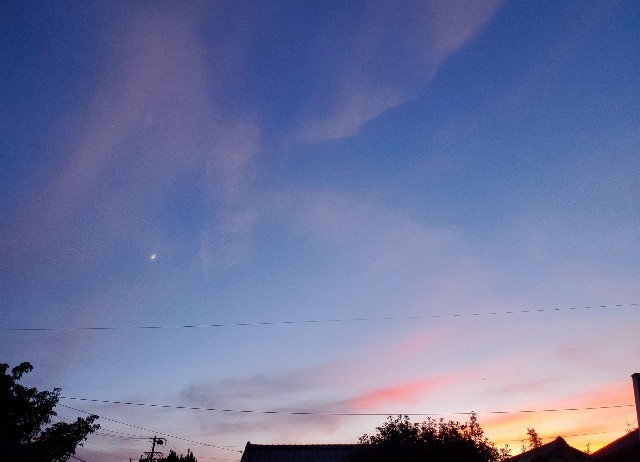 f:id:sakura__iro:20220803214152j:image