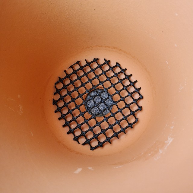 f:id:sakura__iro:20220820231418j:image