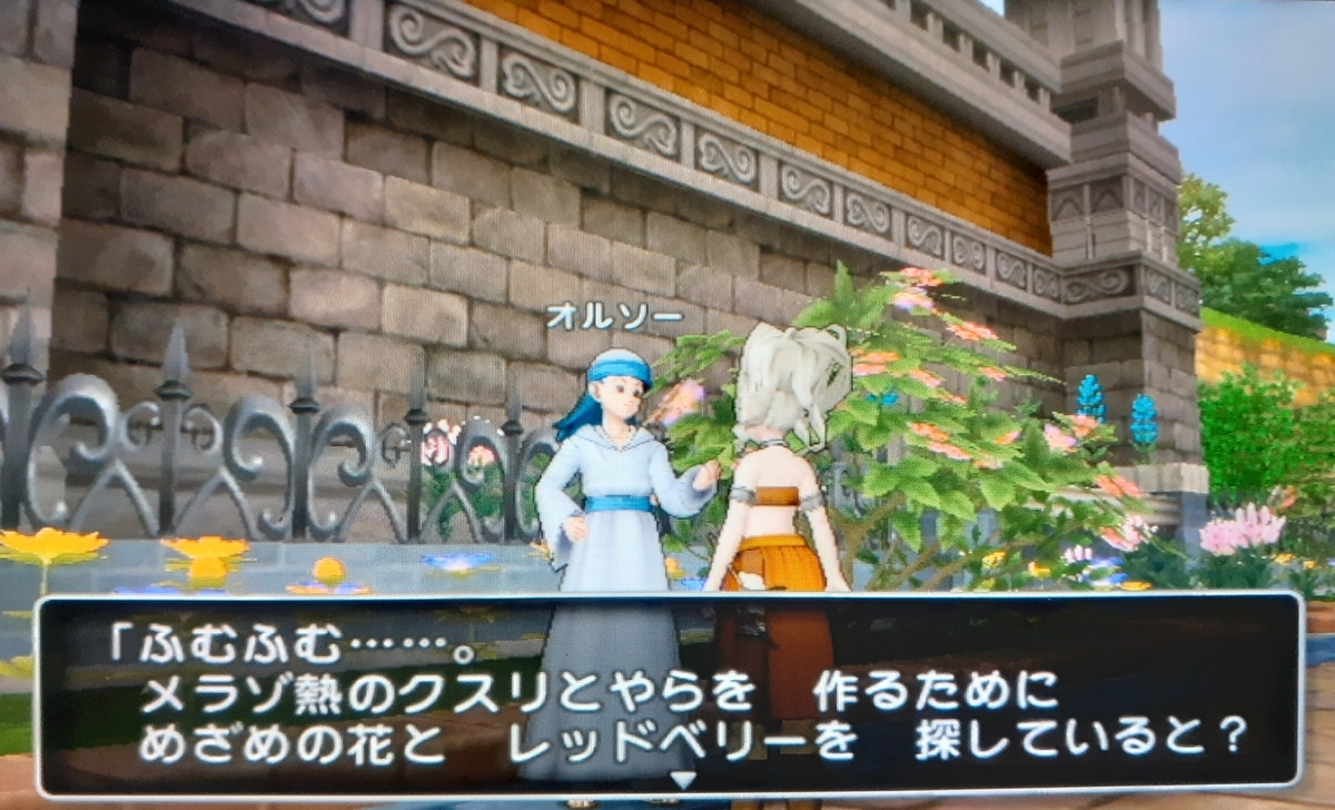 f:id:sakura_dqx:20220116130817j:plain