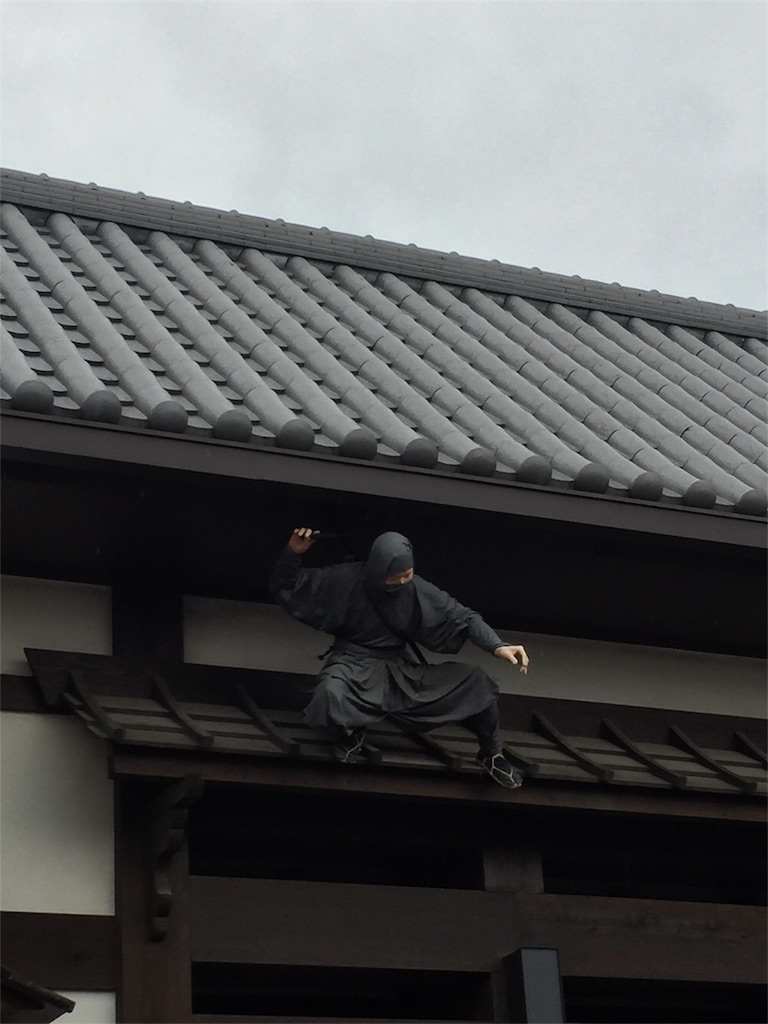 f:id:sakura_ink:20170121013042j:image f:id:sakura_ink:20170121013042j:image