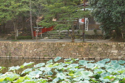 f:id:sakura_nt:20200917185650j:plain f:id:sakura_nt:20200917185650j:plain