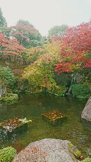 f:id:sakura_onee:20171105213521j:image f:id:sakura_onee:20171105213521j:image