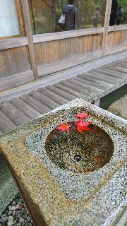f:id:sakura_onee:20171105213602j:image f:id:sakura_onee:20171105213602j:image