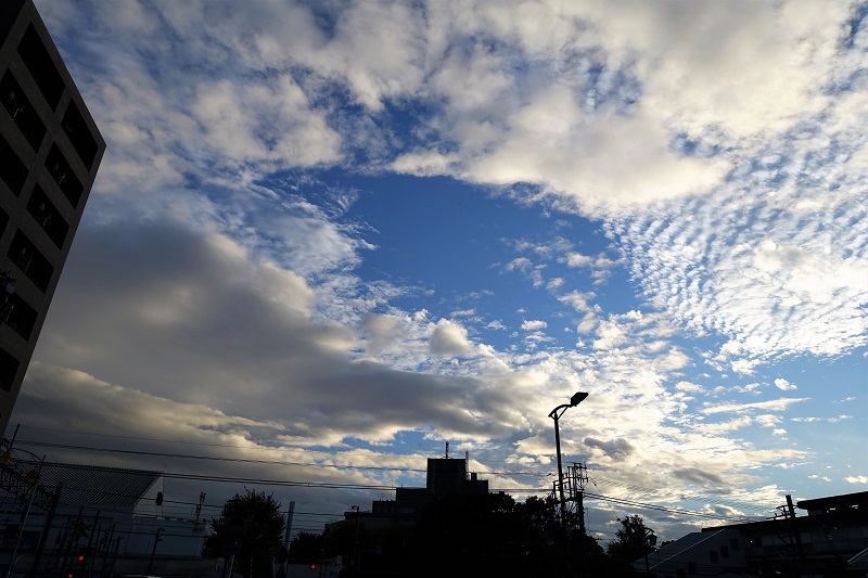 f:id:sakura_tukue:20210831030546j:plain