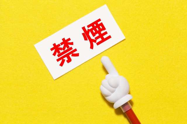 f:id:sakuraaji:20190730220549j:plain