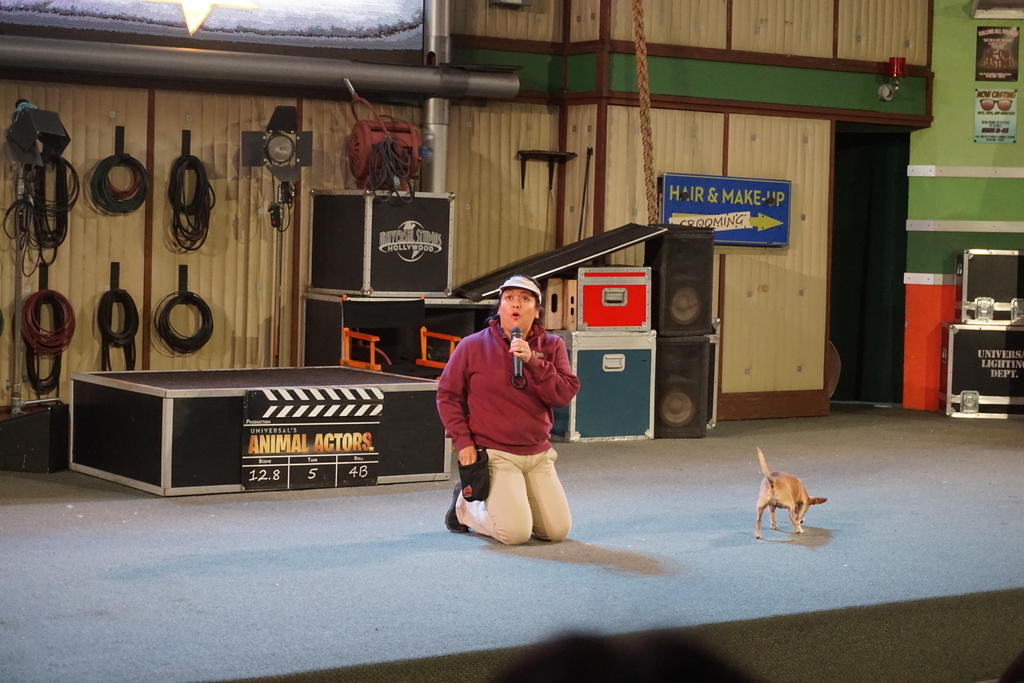 f:id:sakuracos9639:20181214145850j:plain f:id:sakuracos9639:20181214145850j:plain