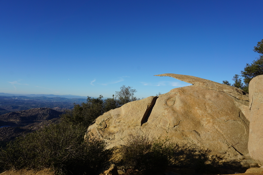 f:id:sakuracos9639:20190112130617j:plain f:id:sakuracos9639:20190112130617j:plain