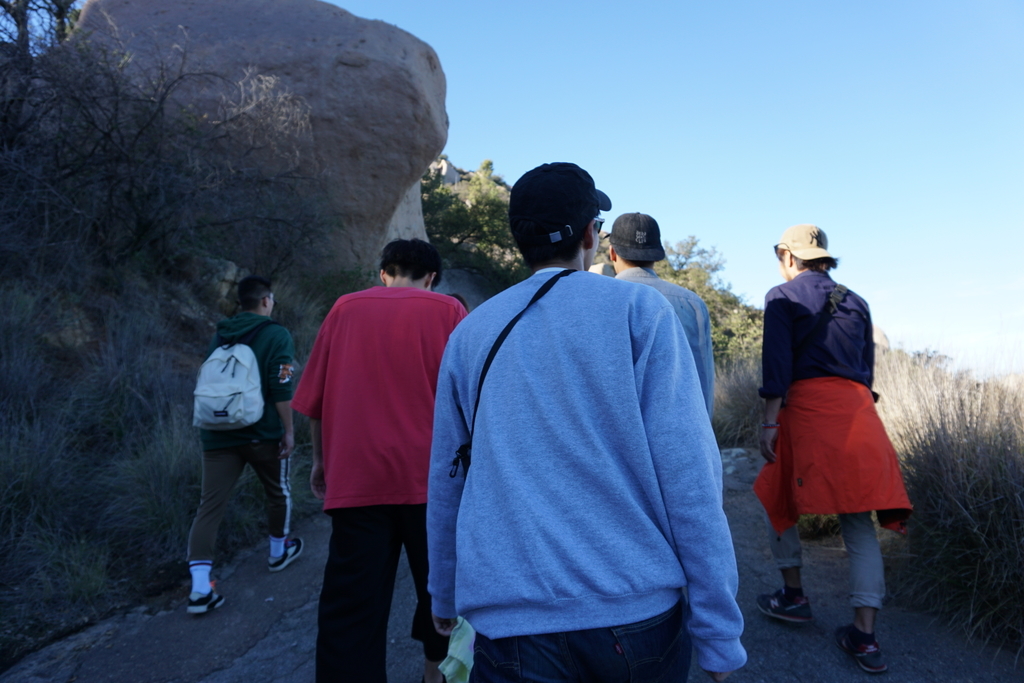 f:id:sakuracos9639:20190112130618j:plain f:id:sakuracos9639:20190112130618j:plain