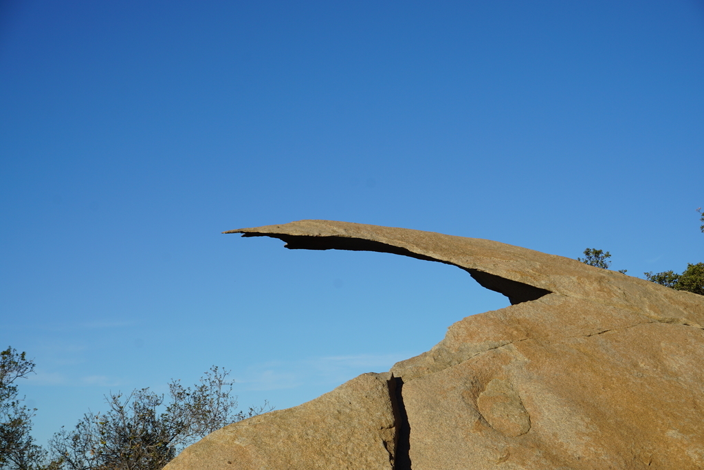 f:id:sakuracos9639:20190112130622j:plain f:id:sakuracos9639:20190112130622j:plain