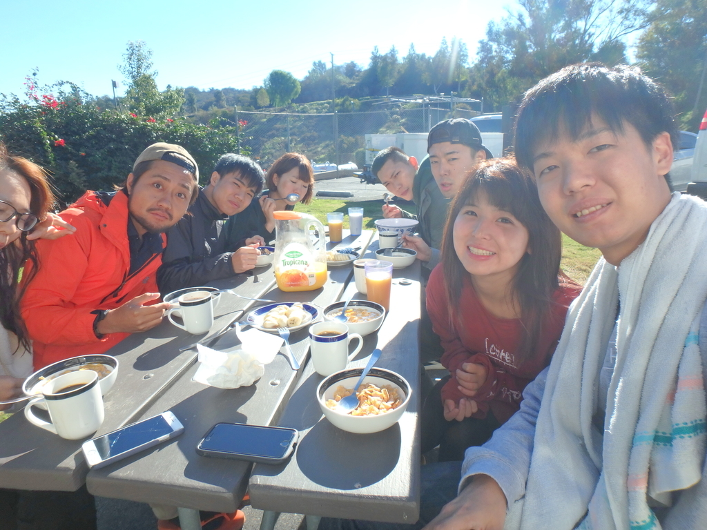 f:id:sakuracos9639:20190112130957j:plain f:id:sakuracos9639:20190112130957j:plain