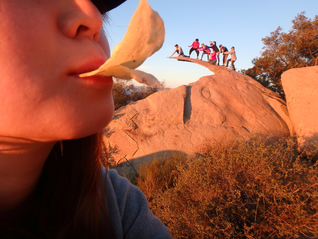 f:id:sakuracos9639:20190112131011j:plain f:id:sakuracos9639:20190112131011j:plain