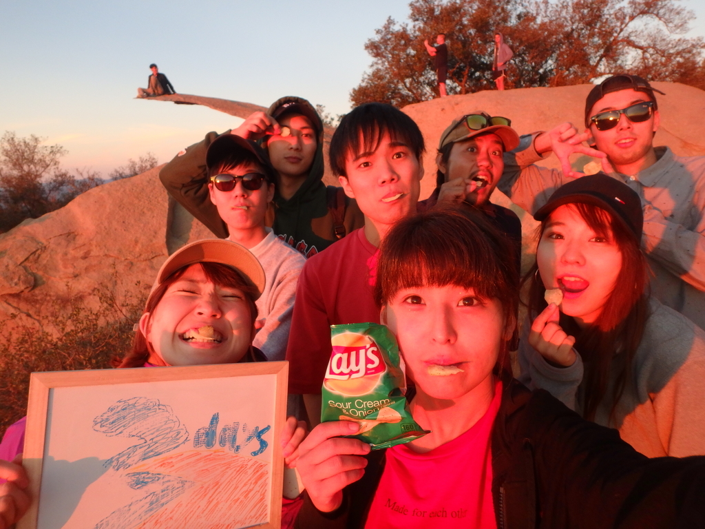 f:id:sakuracos9639:20190112131017j:plain f:id:sakuracos9639:20190112131017j:plain