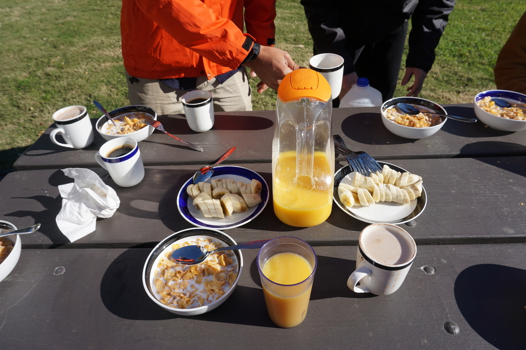 f:id:sakuracos9639:20190112131206j:plain f:id:sakuracos9639:20190112131206j:plain