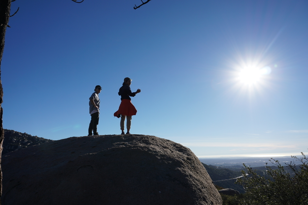 f:id:sakuracos9639:20190112132347j:plain f:id:sakuracos9639:20190112132347j:plain