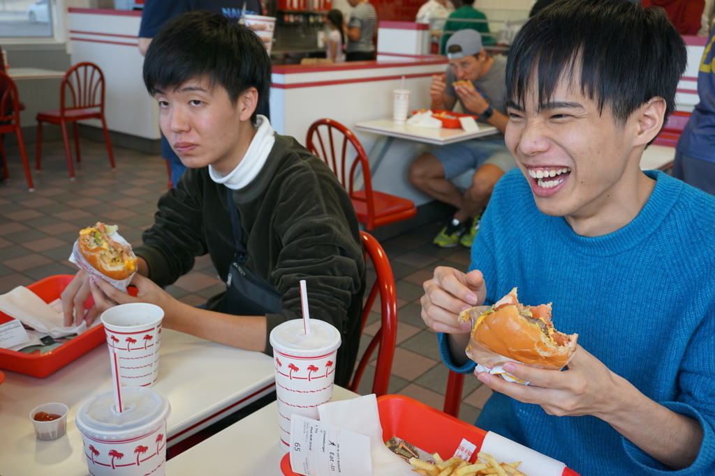 f:id:sakuracos9639:20190125205711j:plain f:id:sakuracos9639:20190125205711j:plain