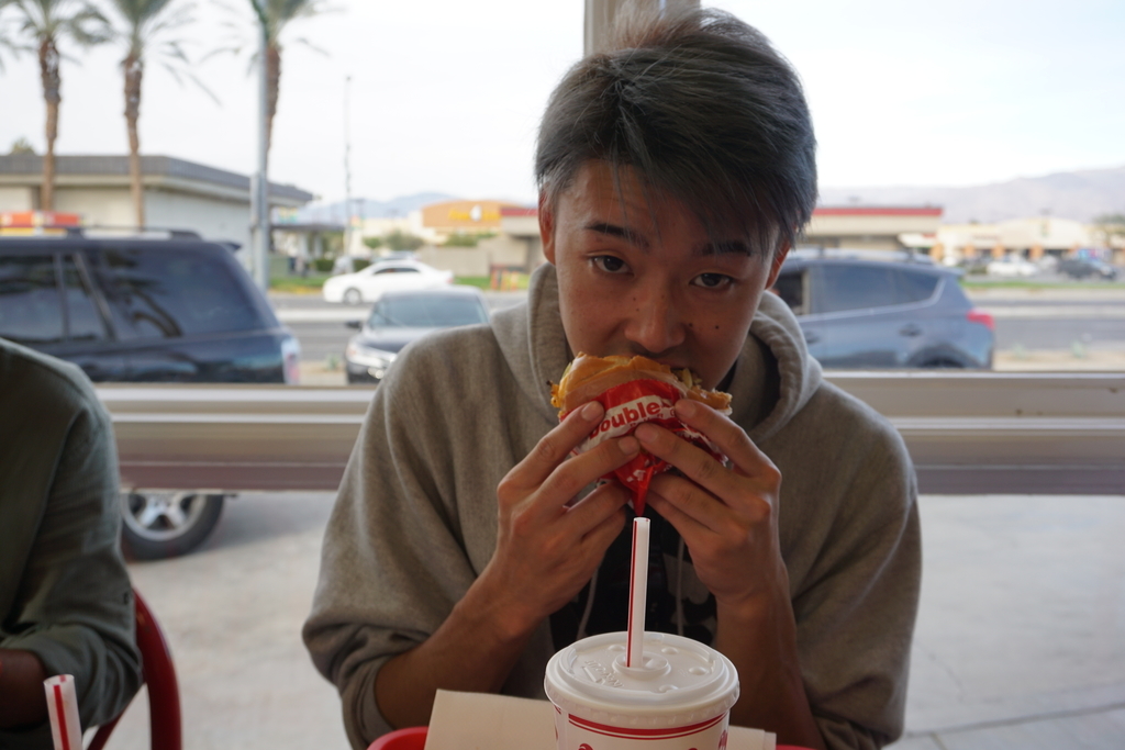 f:id:sakuracos9639:20190125205716j:plain f:id:sakuracos9639:20190125205716j:plain