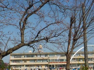 f:id:sakurada-e:20210317145552j:image f:id:sakurada-e:20210317145552j:image