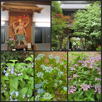 f:id:sakuradai444:20170626224643j:image:w360