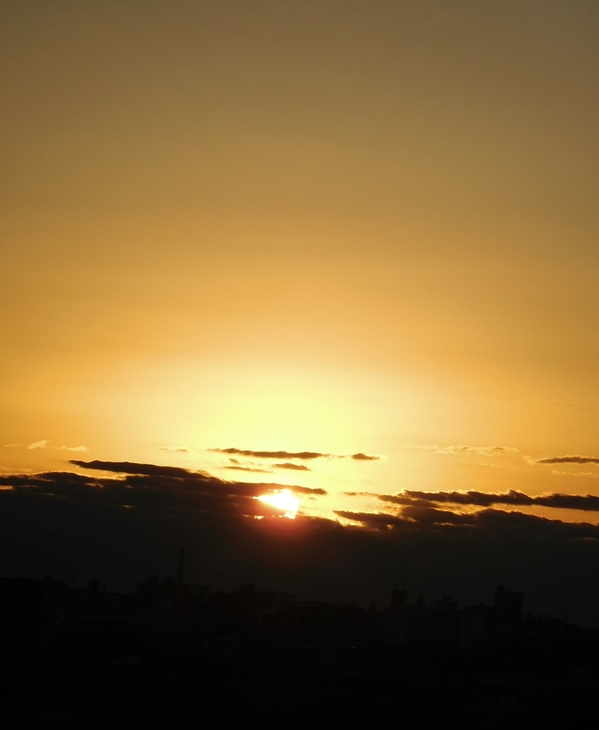 f:id:sakurado:20190102222843j:plain
