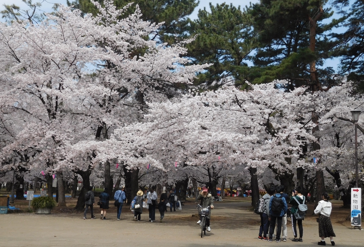 f:id:sakurado:20190406051354j:plain