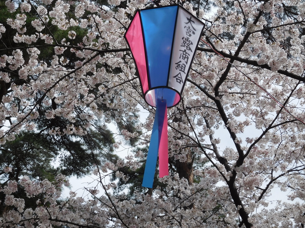 f:id:sakurado:20190406051449j:plain