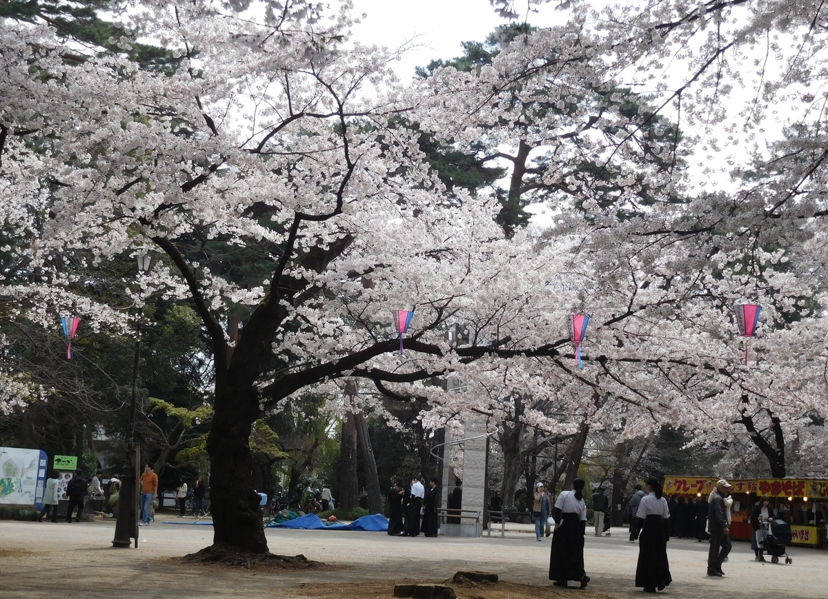 f:id:sakurado:20190406051631j:plain
