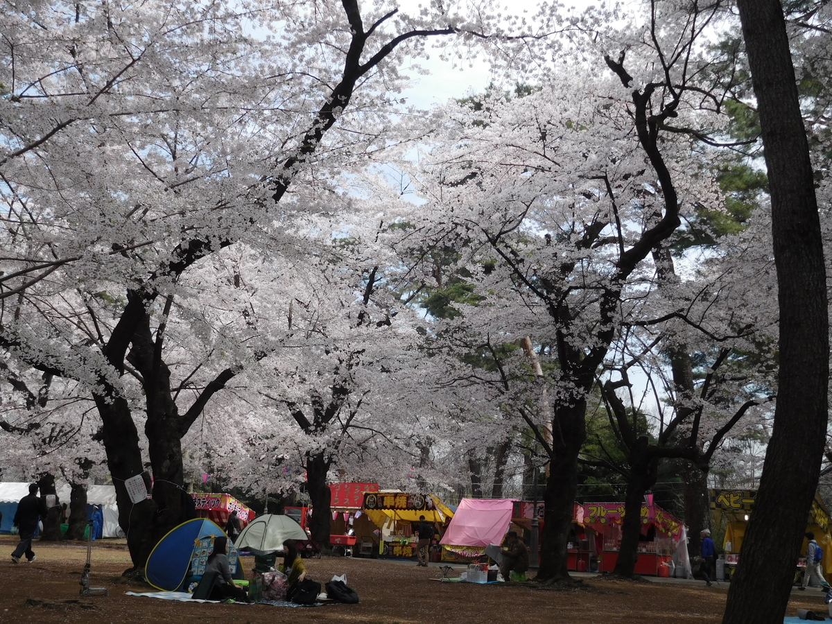 f:id:sakurado:20190406051719j:plain