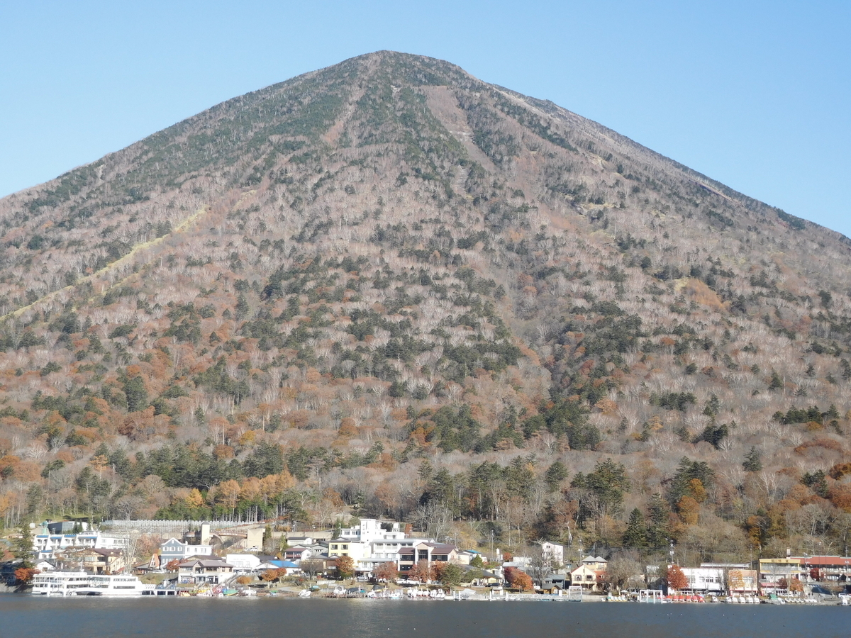 f:id:sakurado:20191118151330j:plain