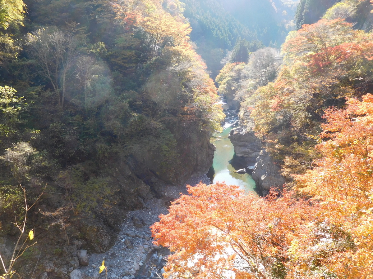 f:id:sakurado:20201124163411j:plain
